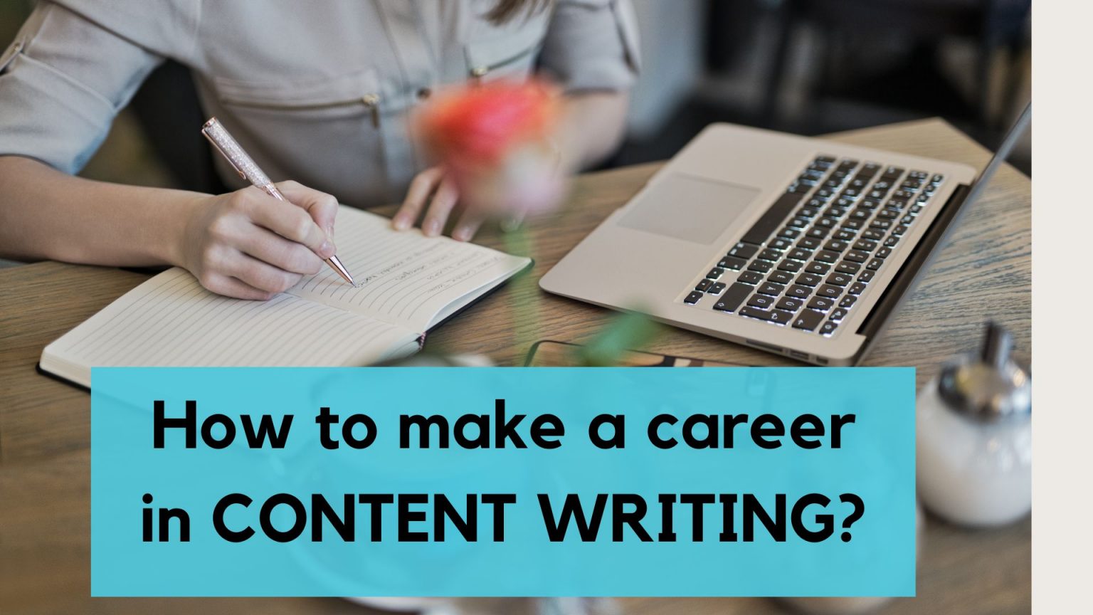 what education do you need to be a content writer