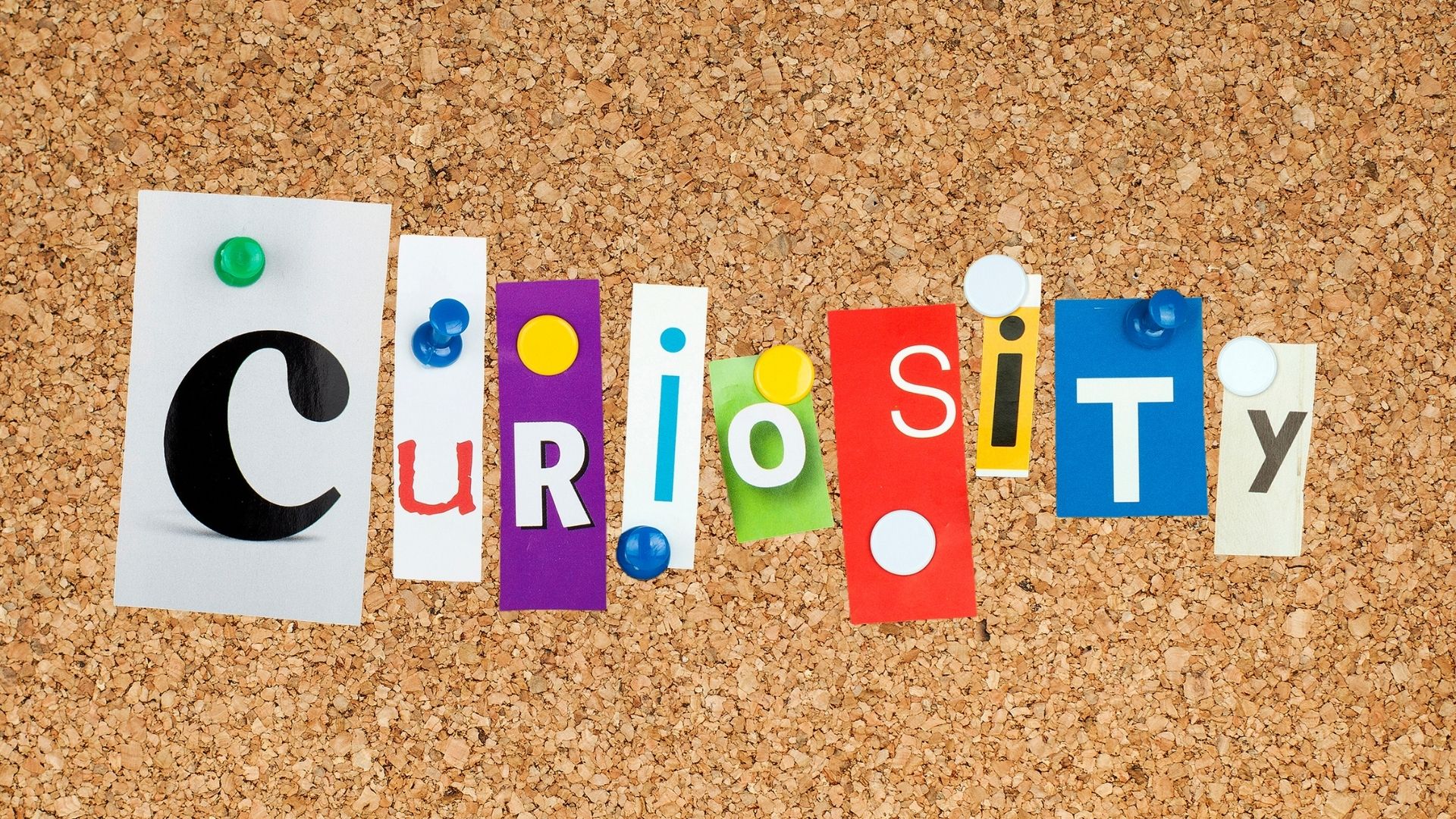 exposure-to-research-projects-helps-nurture-curiosity-in-high-school